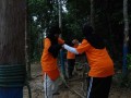 Tn DSC 6203